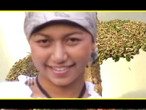 A. Bakar AR - SI BUTET (Official Video Music Channel)