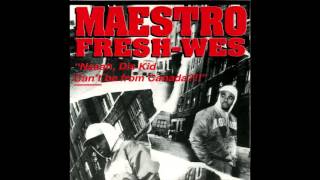 Maestro Fresh-Wes - How Many Styles