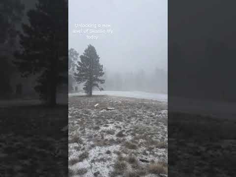 snowed like this in the AM a few mkrnings but it melted away by the afternoon.