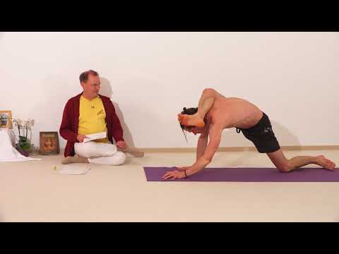 2487 Simha Murg Asana oder Simha Murgasana