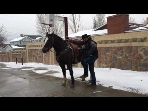 How to train a horse to stop walking off when you mount - J.R. Feland