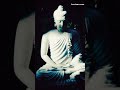 Welcome BUDDHA STATUS SIDDHARTHA GAUTAM BUDDH Status 2 Buddha History Shorts