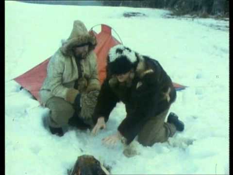 Imrichvideozone - Jižní pól