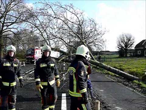 Boom over Provincialeweg West - N228 Haastrecht