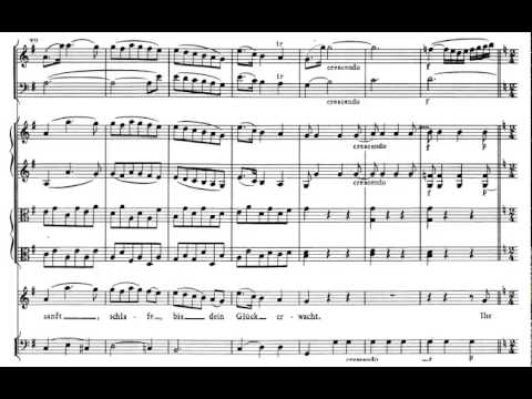 Ruhe Sanft (Zaide - Mozart) Score Animation