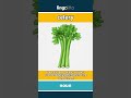 celery (noun) - definition and usage in English