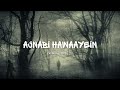Ajnabi Hawaayein Slowed Reverb Shreya Ghoshal QUAVER