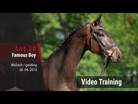 20 Famous Boy v. For Romance - De Niro_Trainingsvideo