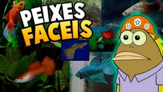 Top 5 Peixes Mais Indicados Para Aquaristas Iniciantes