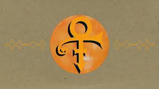 P Control from The Gold Experience by Prince