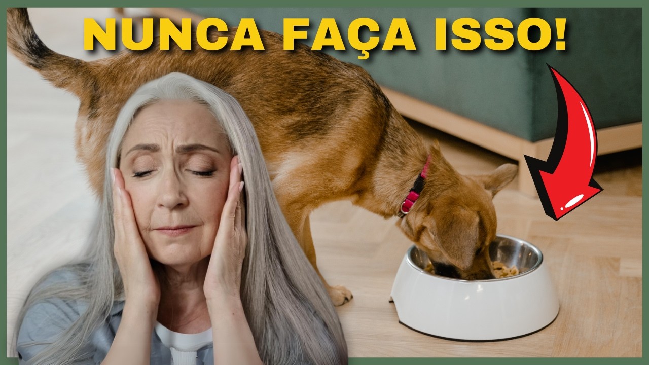 TERRIBLE DAILY Way to Give Dog and Cat Food and Natural Food for Dogs and Cats.