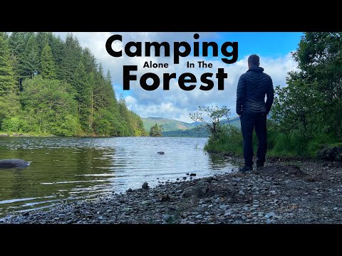 Wild Camping Alone In A Forest, Scotland