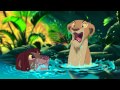 Der König Der Löwen Kann Es Wirklich Liebe Sein FULL HD