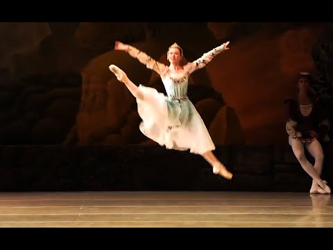 Yevseyeva - Swan Lake Pas de Trois Variation 2