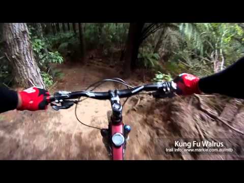 MTB-TV - Rotorua Redwoods - Kung Fu Walrus