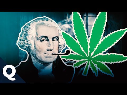 The History of Cannabis Prohibition | Quarks