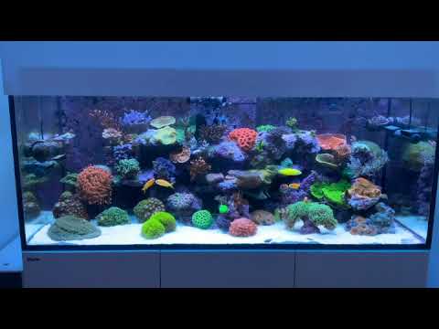 LICHT - 4 x GHL MITRAS LX 7206