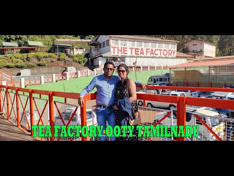 Go Inside the Famous Ooty Tea Factory & See How Its Magic Powder is Made! // Trending Video