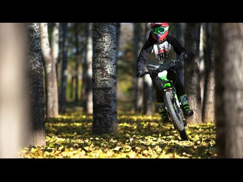 2026 dob all new D1 E-trial