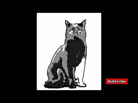 How To Draw A Cat - Lifetime Family Health Insurance Group