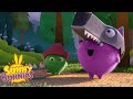 Videos For Kids SUNNY BUNNIES SUNLIGHT CAMERA ACTION Season 3 Cartoon