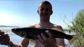 Рыбалка на волге все о снастях