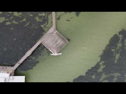 Inflygning med Mavic Air 2 över Långa Bryggan i Bjärred