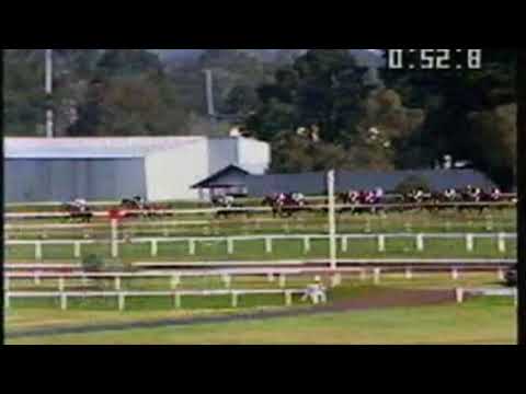 1991 Caulfield Stakes - Shaftesbury Avenue