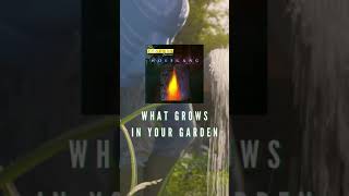 Wolfgang - What Grows In Your Garden #Shorts