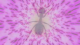Download lagu HIGH PITCH SOUND & Anti Mites Repellent Sound Scare away ants, insects, rats, mices, reptiles. mp3 Download lagu HIGH PITCH SOUND & Anti Mites Repellent Sound Scare away ants, insects, rats, mices, reptiles. mp3