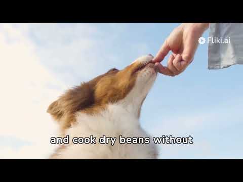 Can Dogs Eat Beans? A Comprehensive Guide to Safe and Healthy Bean Consumption