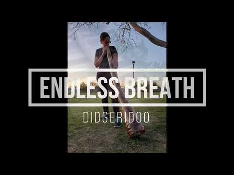 Agave Didgeridoo #412 in E