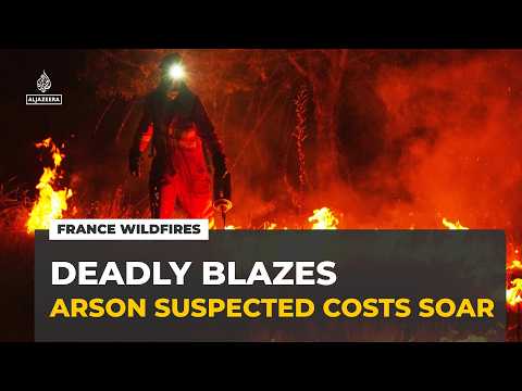 Europe's wildfires leave $3.5bn restoration bill