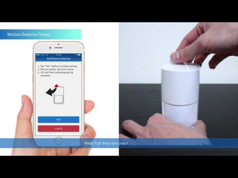 ALC Connect Plus Motion Detector Setup