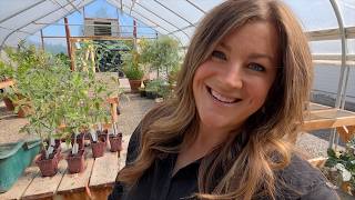 Planting Perennials & Tomatoes in the Greenhouse + Garden Maintenance! 🌸🍅✂️