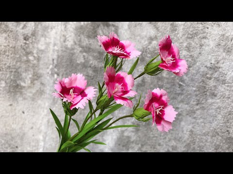 ABC TV | How To Make Carnation Paper Flower #2 - Craft Tutorial