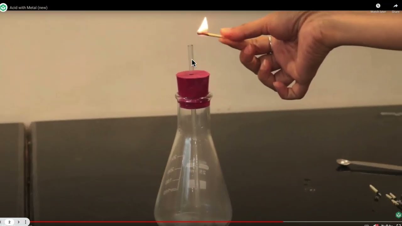 Reaction of acids & bases | Acids, bases, & salts | Chemistry class 10 | Khan Academy
