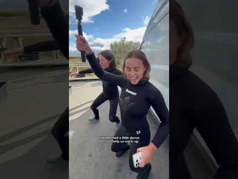 Swimming between two continents in Iceland! #iceland #travel #icelandtravel #travelbucketlist #dive