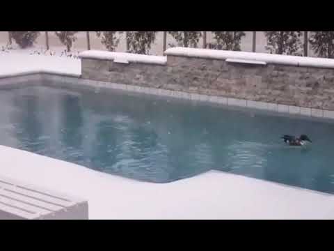 Blizzard in Oklahoma, USA - February 14, 2021