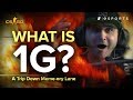 What is 1G? 🔥 [A Trip Down Meme-ory Lane] (CS:GO)