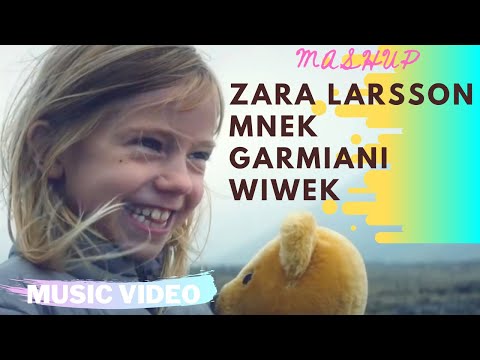 Zara Larsson, MNEK Vs Wiwek Vs Garmiani - Never Forget To Bomb An  Angry Birdz (SLOW FLOW Mashup)