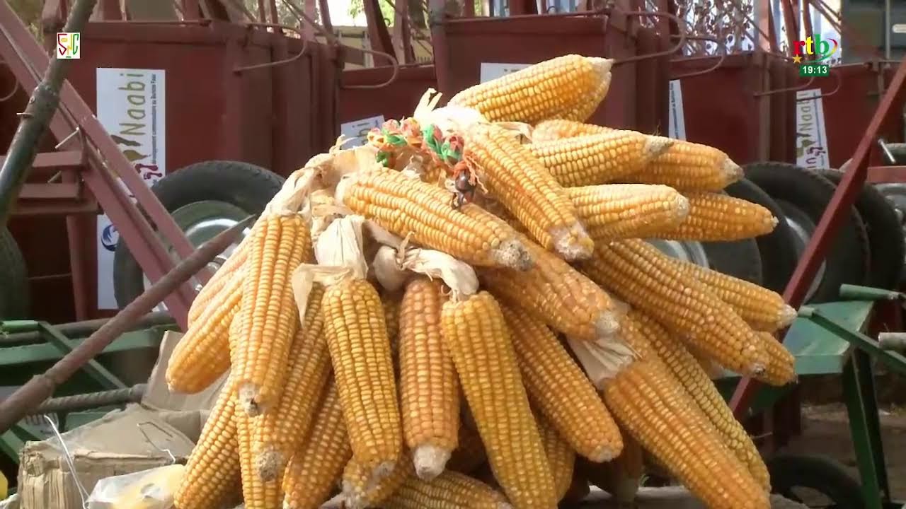 RTB - JT de 19H du 29 avril 2026