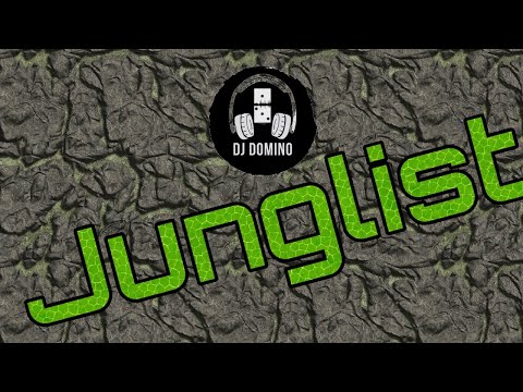 Junglist DJ Domino🎧🥁🔥