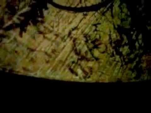 Mahuffers Wurst Place On Earth - Ziplok at Mahuffers signing the junk - ZiplokTV