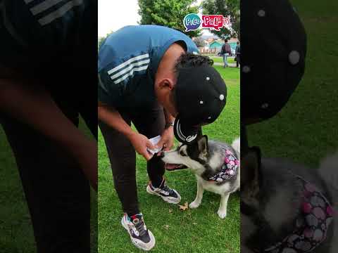 elegido entre millones @picoypalatv #picoypalatv