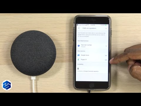 Make Phone Calls From Google Home Devices