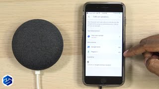 Make Phone Calls From Google Home Devices
