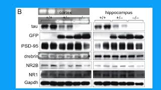 Download lagu 5D7A258871E4E9A654F6B87DD22B5B#1 mp3