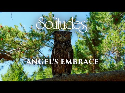 Dan Gibson’s Solitudes - Angels of the Night | Angel's Embrace