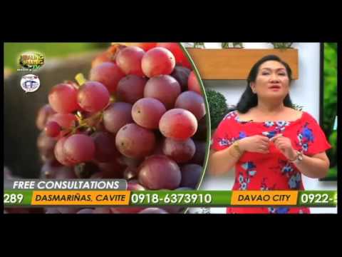 Isang amoy nagtataguyod ng pagbaba ng timbang Hofitol makatulong sa mangayayat